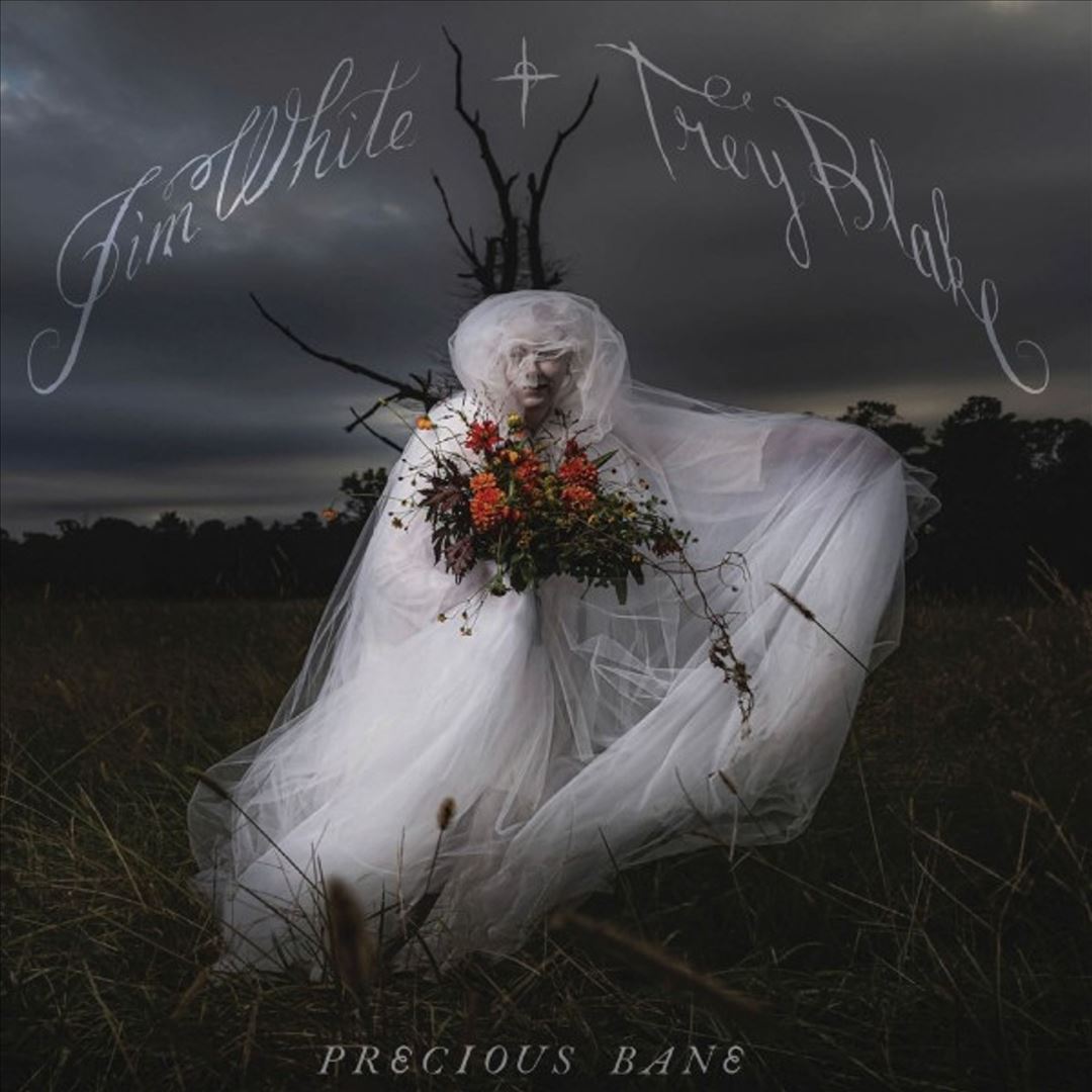 Precious Bane cover art