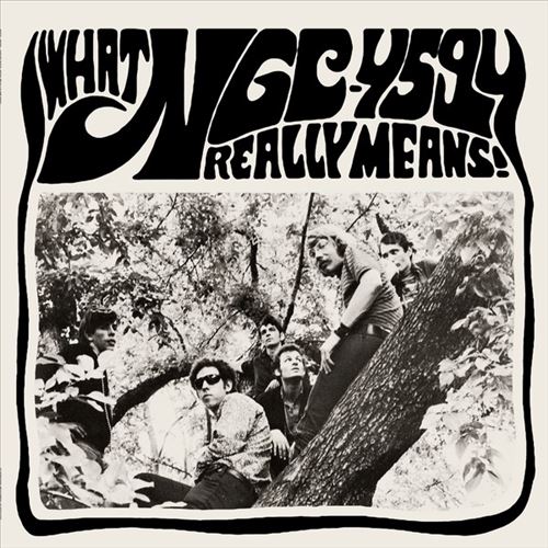 What NGC-4594 Really Means! cover art