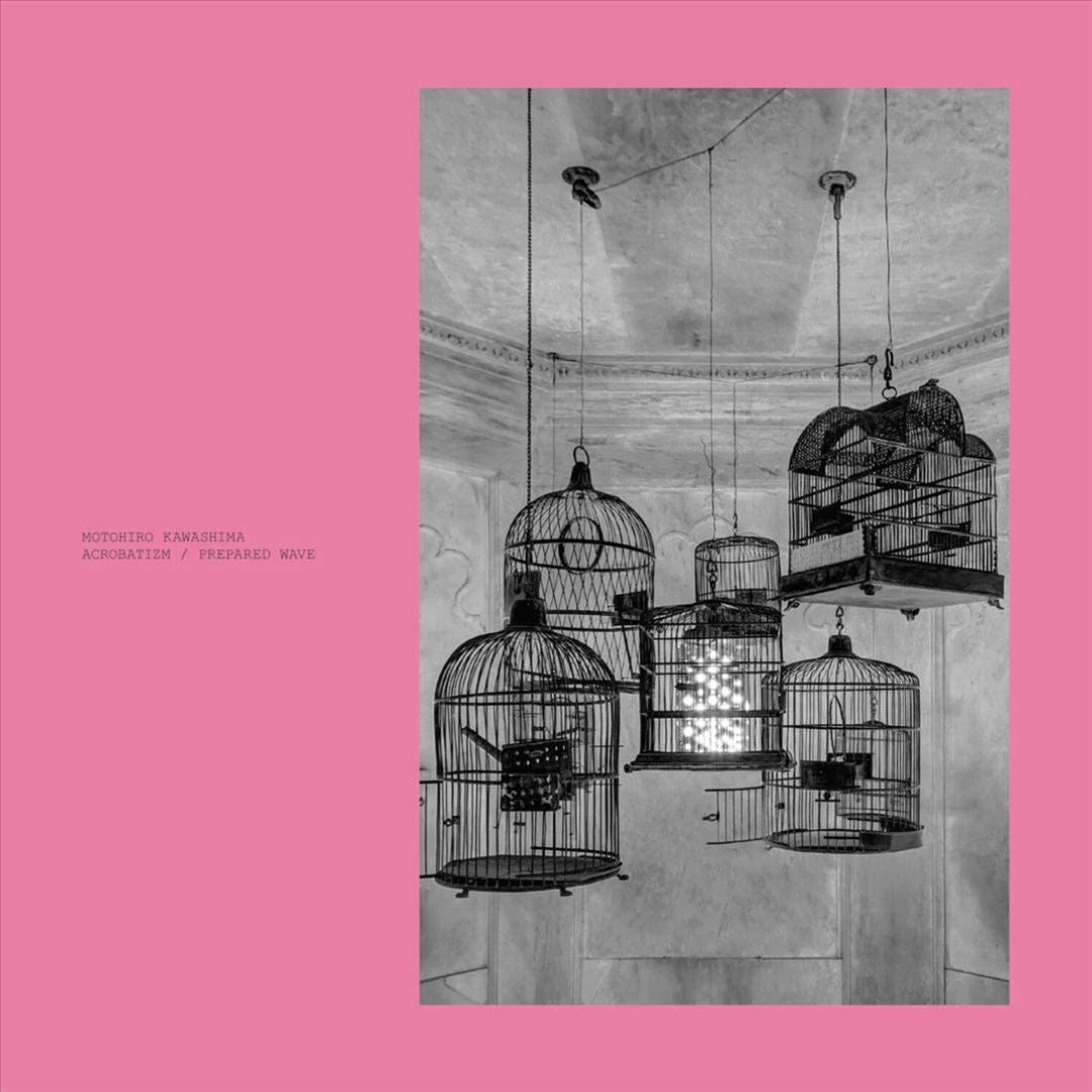 Acrobatizm/Prepared Wave cover art