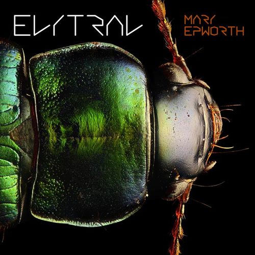 Elytral cover art