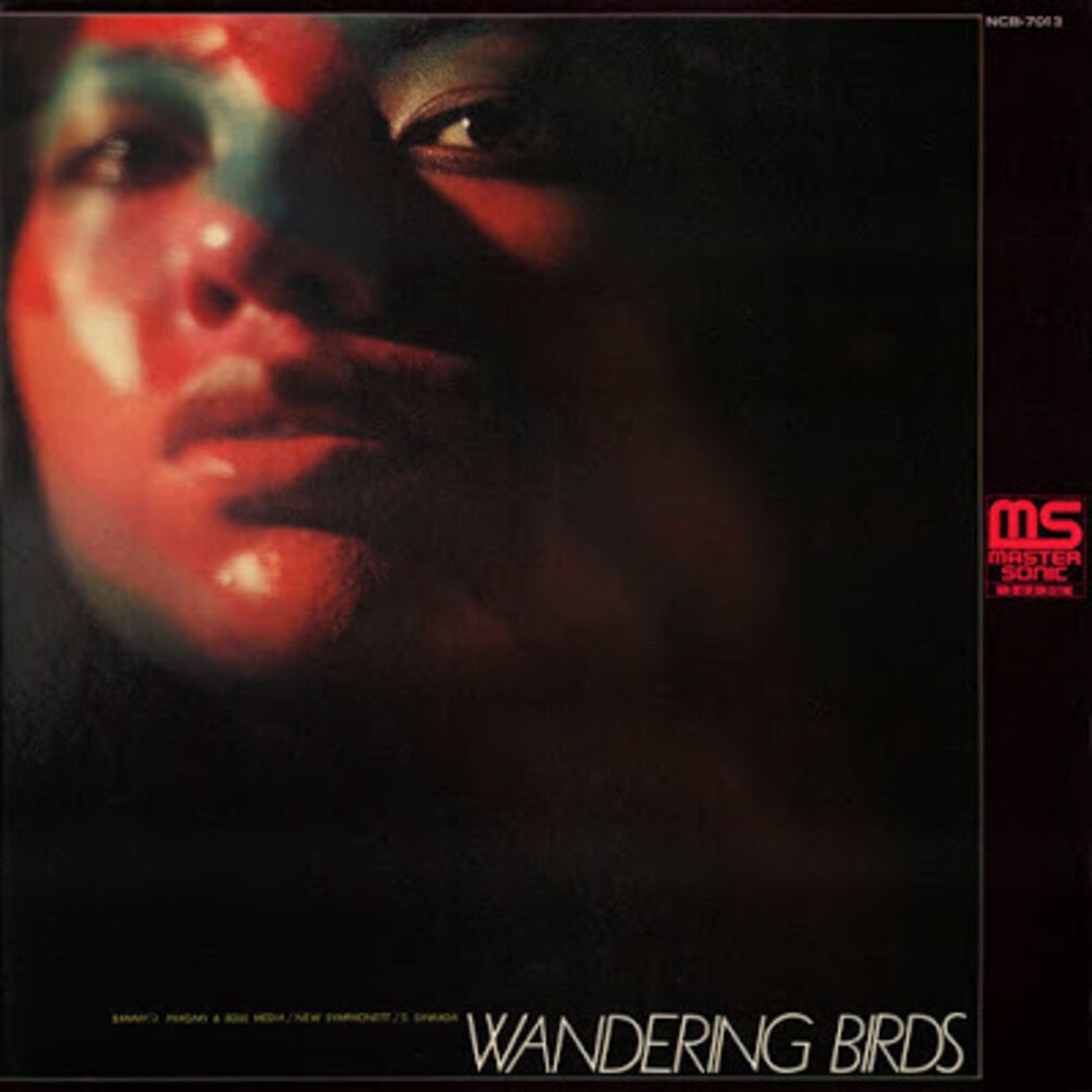 Wandering Birds cover art