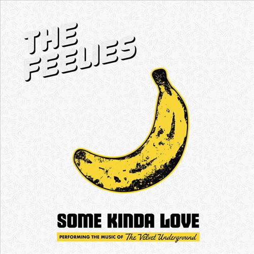 Some Kinda Love: Performing the Music of the Velvet Underground cover art