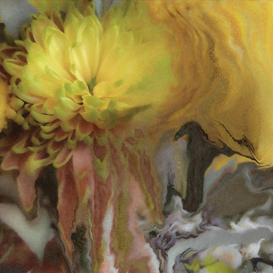 Wilderness Within You cover art