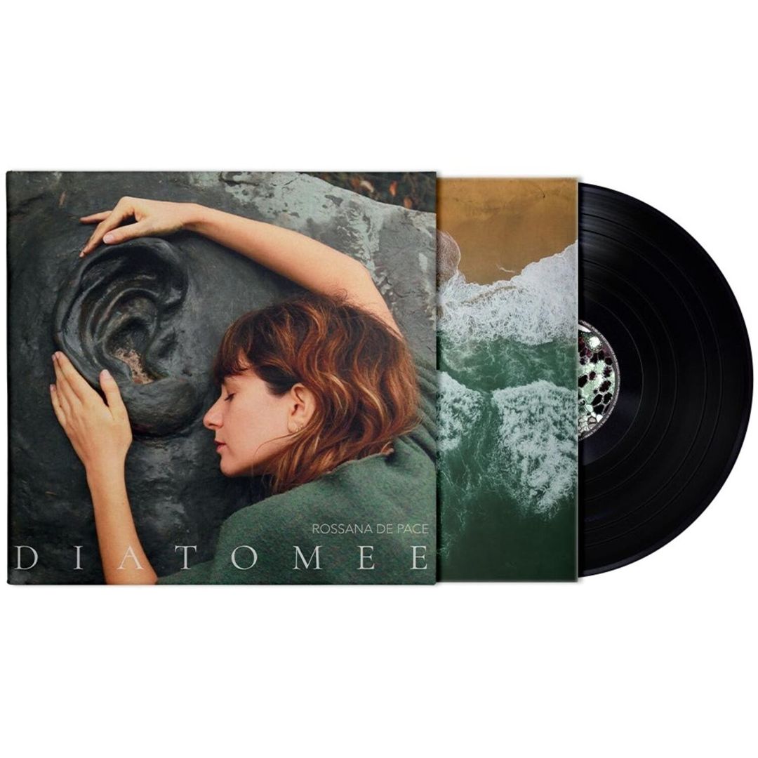 Diatomee cover art