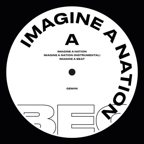 Imagine-a-Nation/For the Crazy cover art