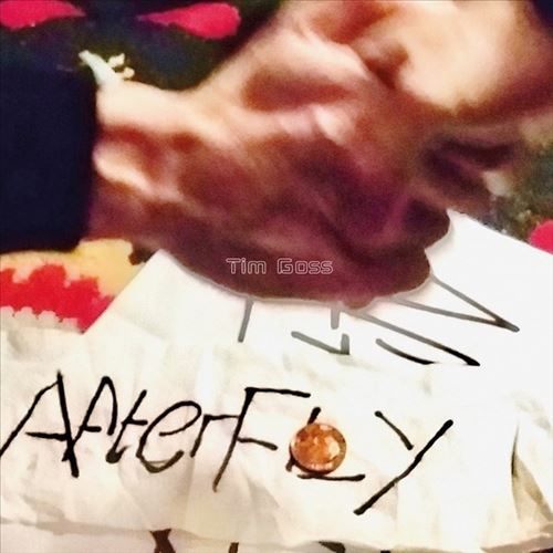Afterfly cover art