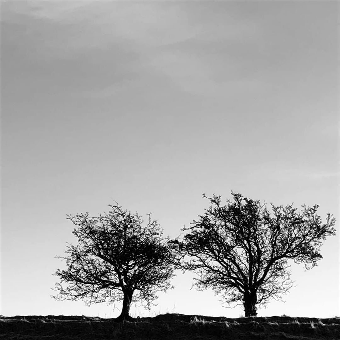 Heightened Sense of Everything cover art