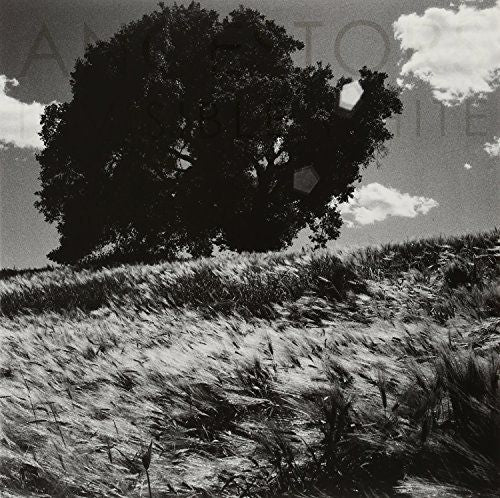 Invisible White cover art