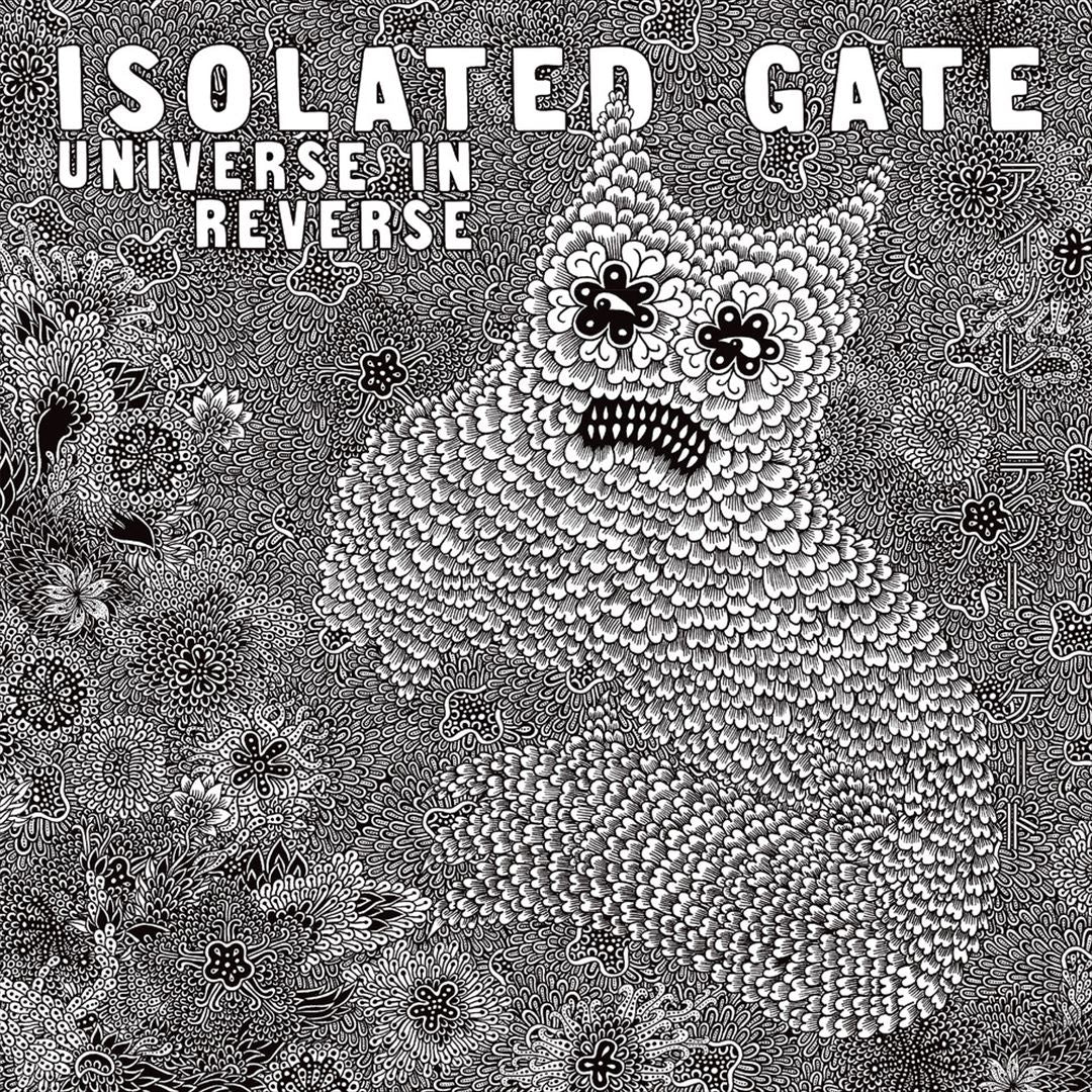 Universe in Reverse cover art