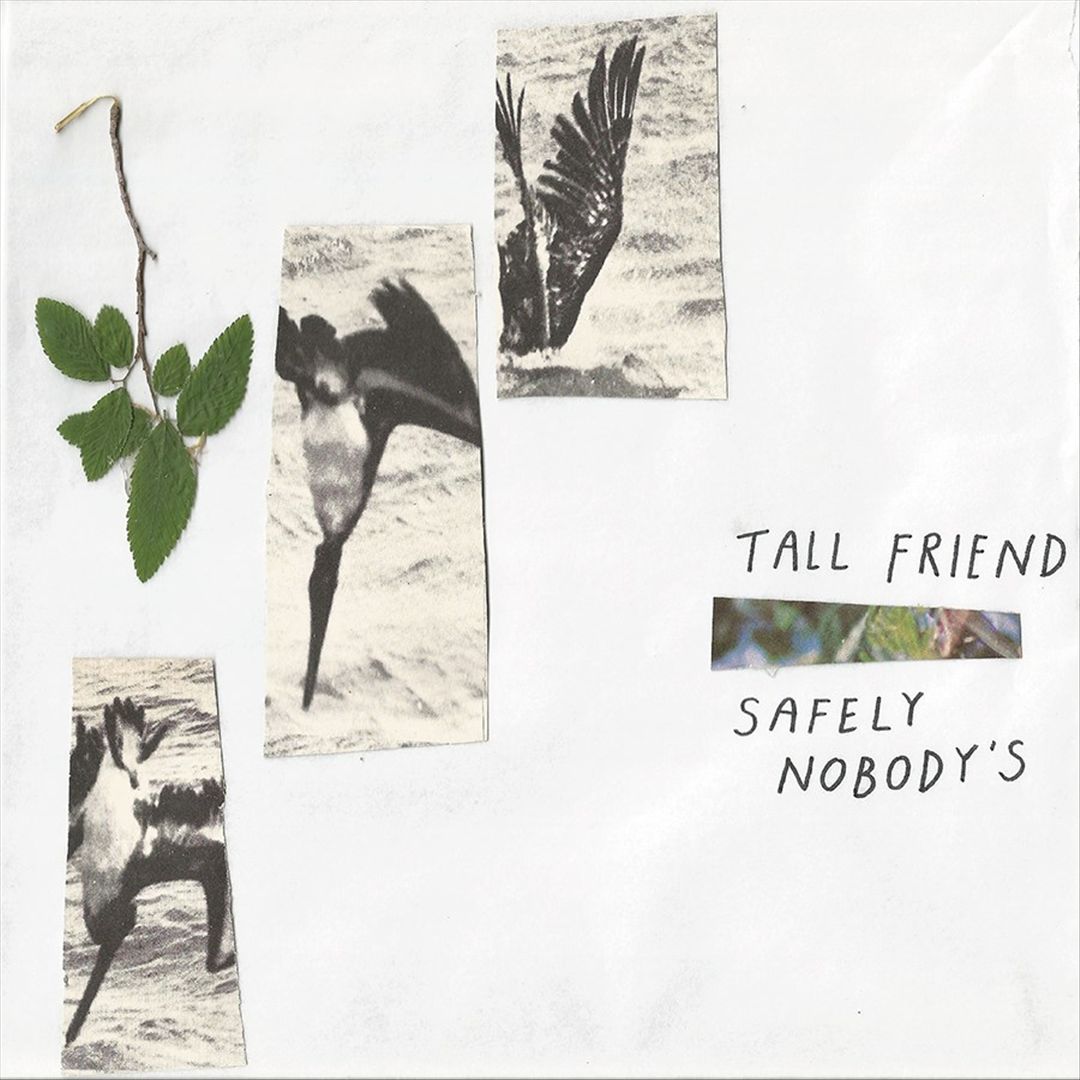 Safely Nobody's cover art