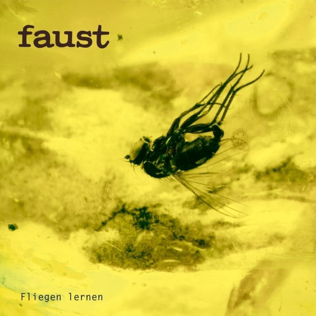 Fliegen Lernen cover art