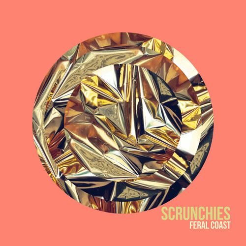 Feral Coast cover art