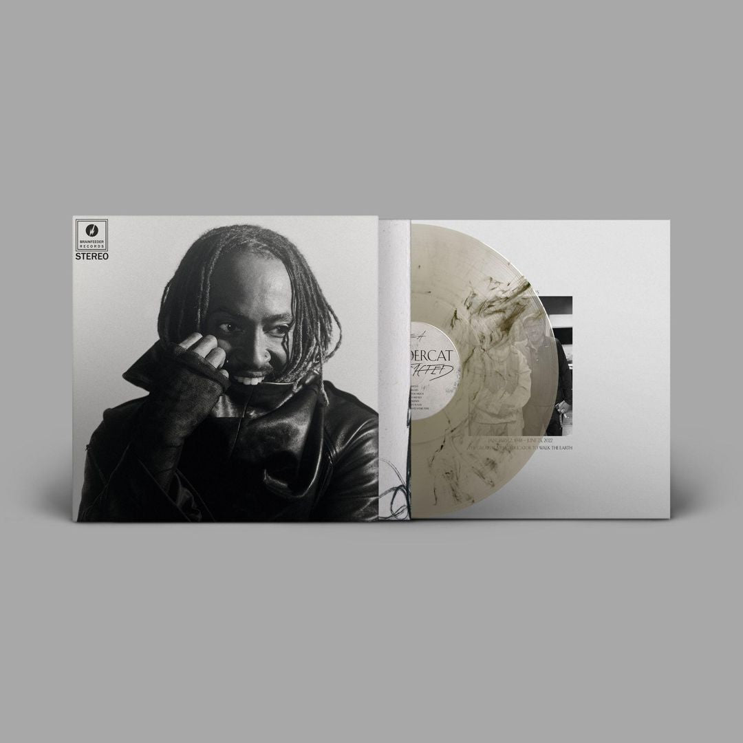 Distracted cover art