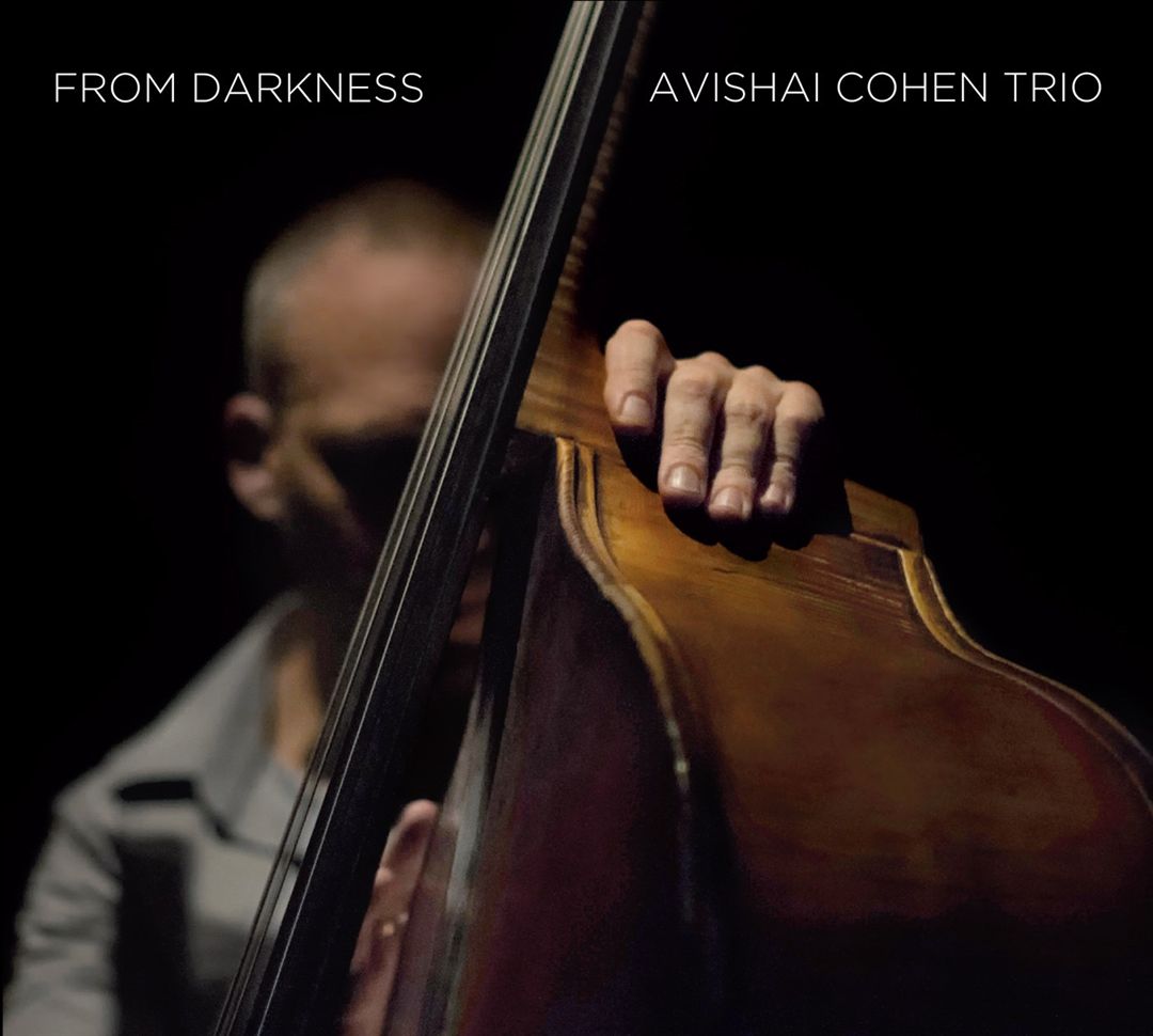 From Darkness cover art
