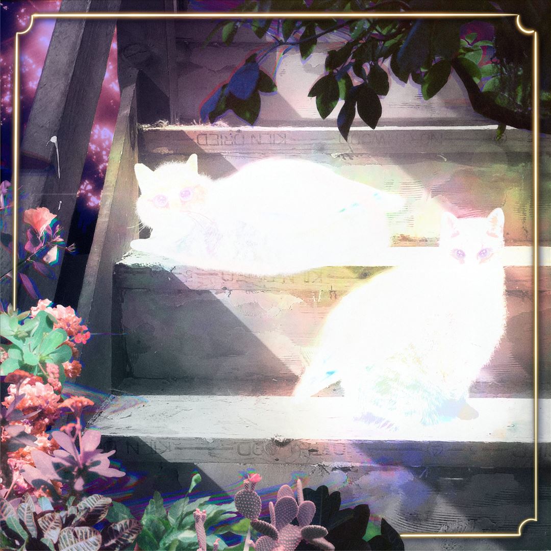 Retinal Bloom cover art