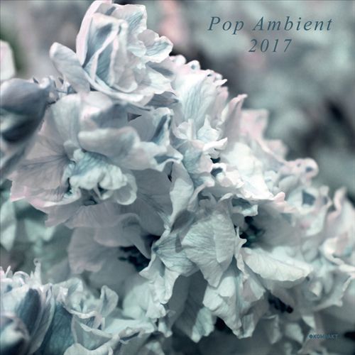 Pop Ambient 2017 cover art