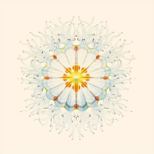 Little Things cover art