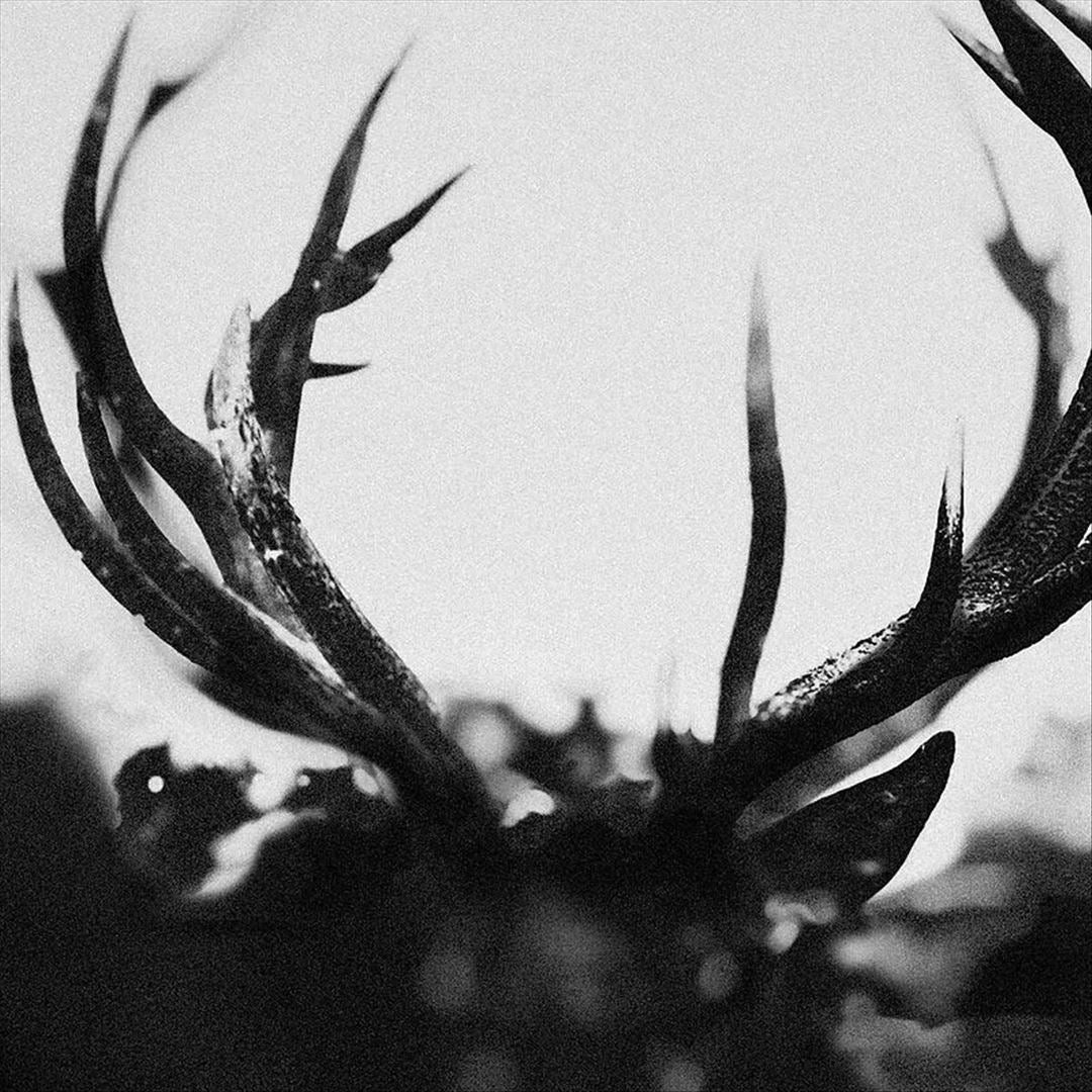 Ihsahn cover art