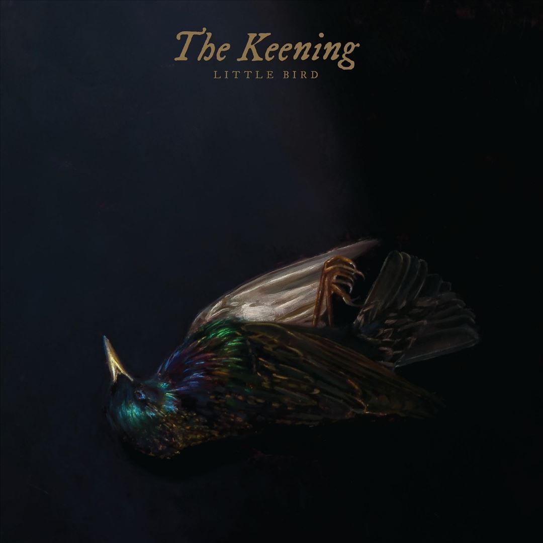 Little Bird cover art