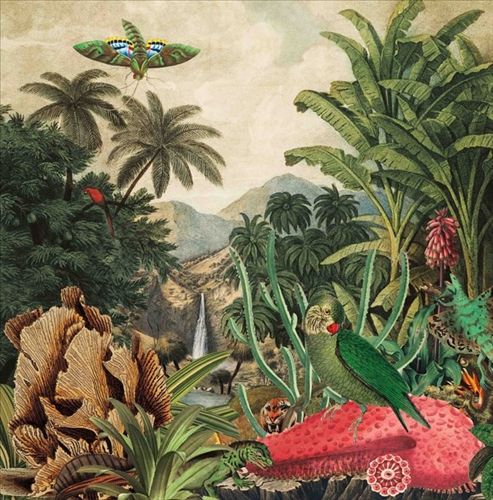 Imaginary Island Music, Vol.1: Canary Islands cover art