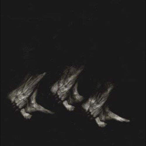 Procession cover art