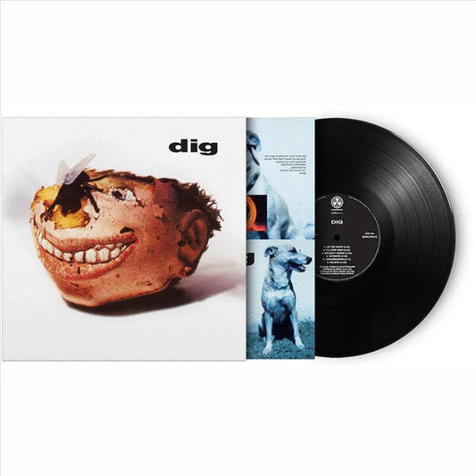 Dig cover art