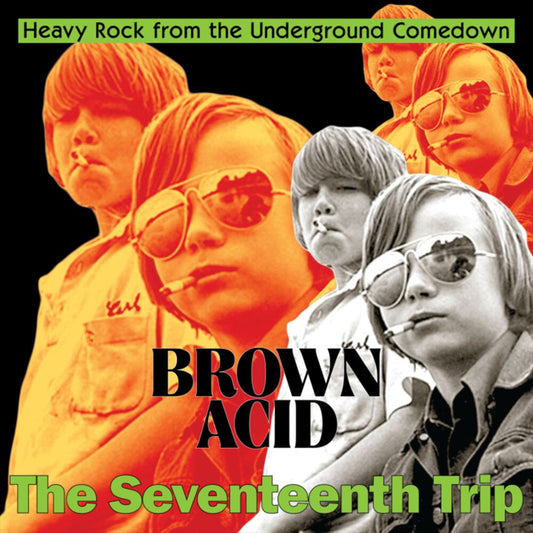 Brown Acid: The Seventeenth Trip  cover art