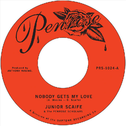 Nobody Gets My Love cover art