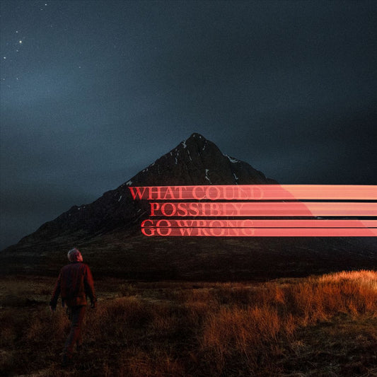 What Could Possibly Go Wrong cover art
