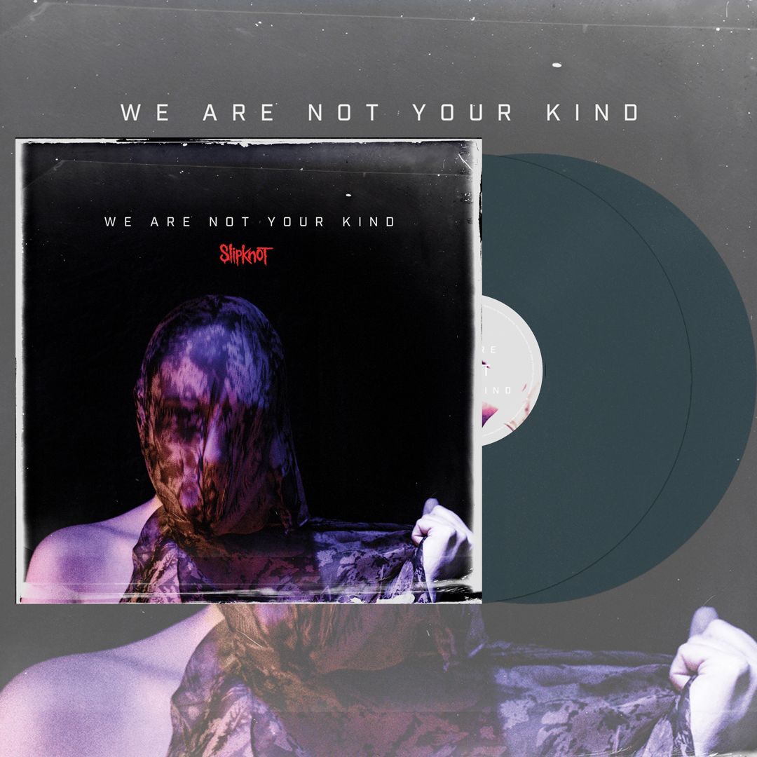 We Are Not Your Kind cover art