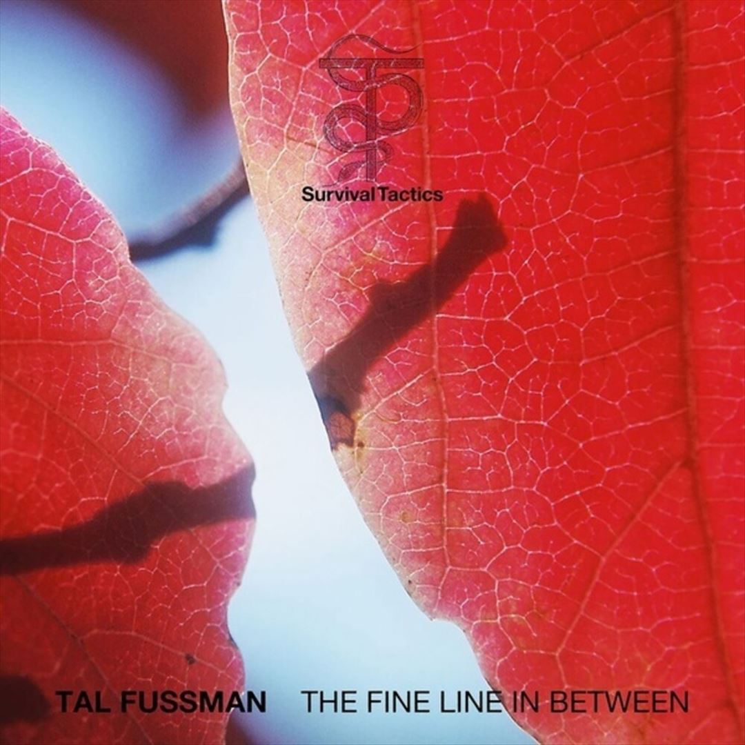 Fine Line in Between cover art