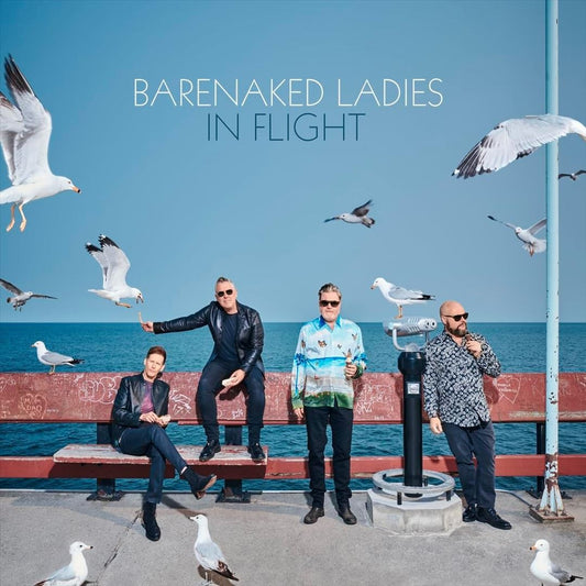 In Flight cover art