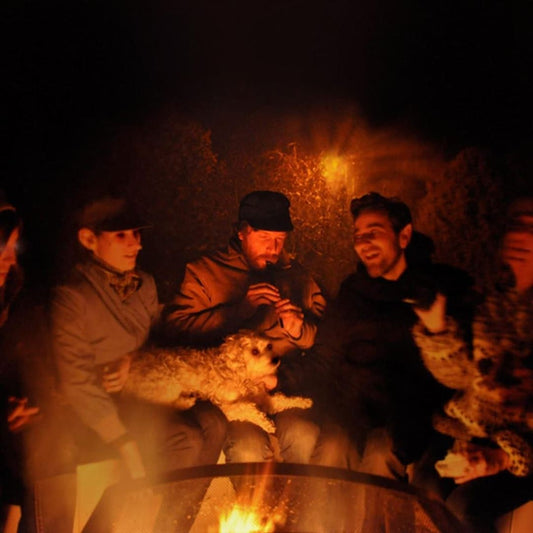 Golden Embers cover art