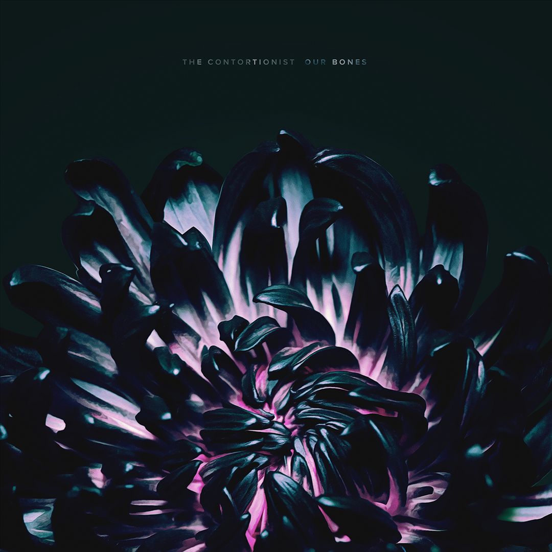 Our Bones cover art