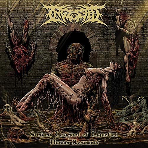 Stinking Cesspool of Liquified Human Remnants cover art