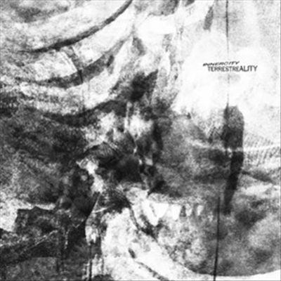 Terrestreality cover art