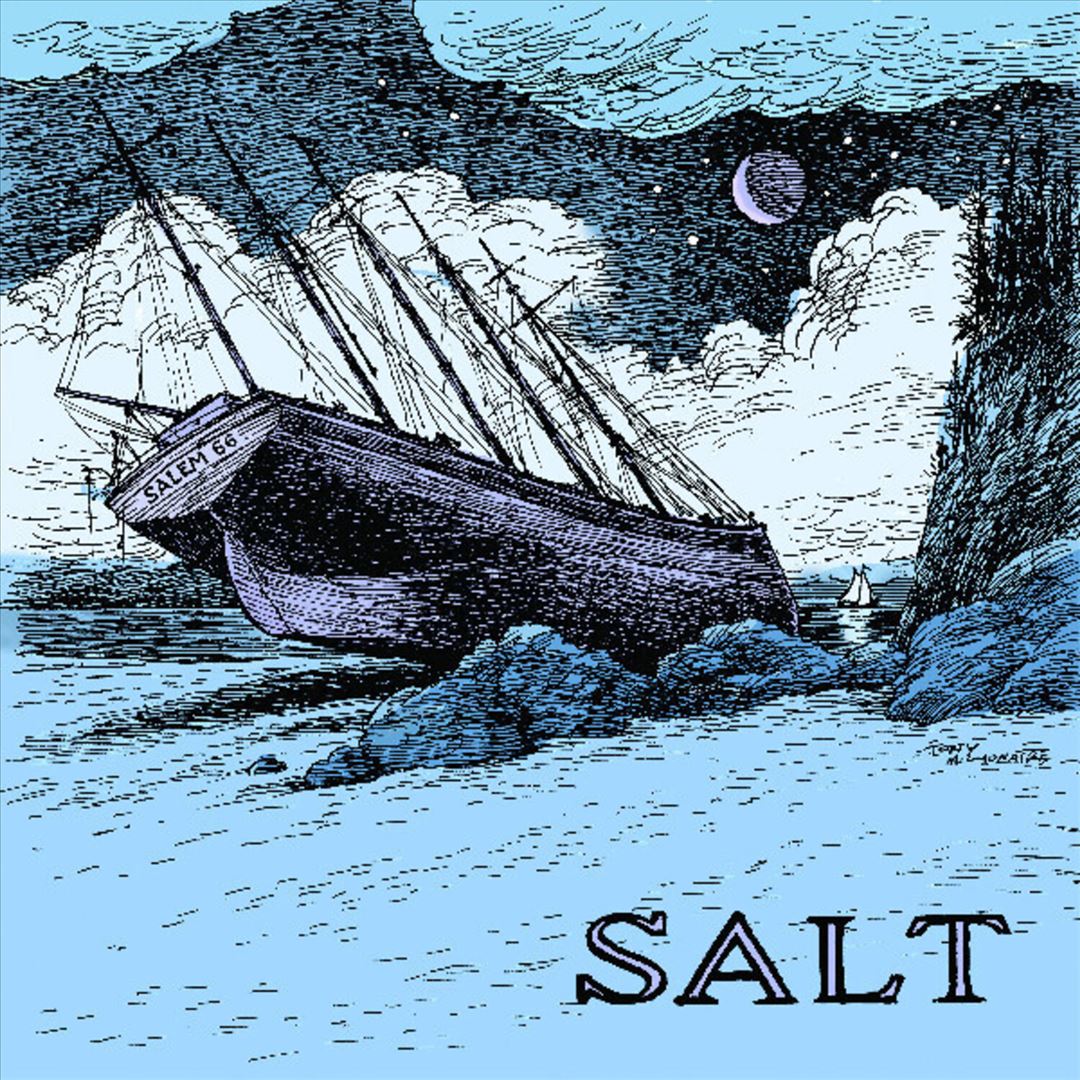 Salt cover art