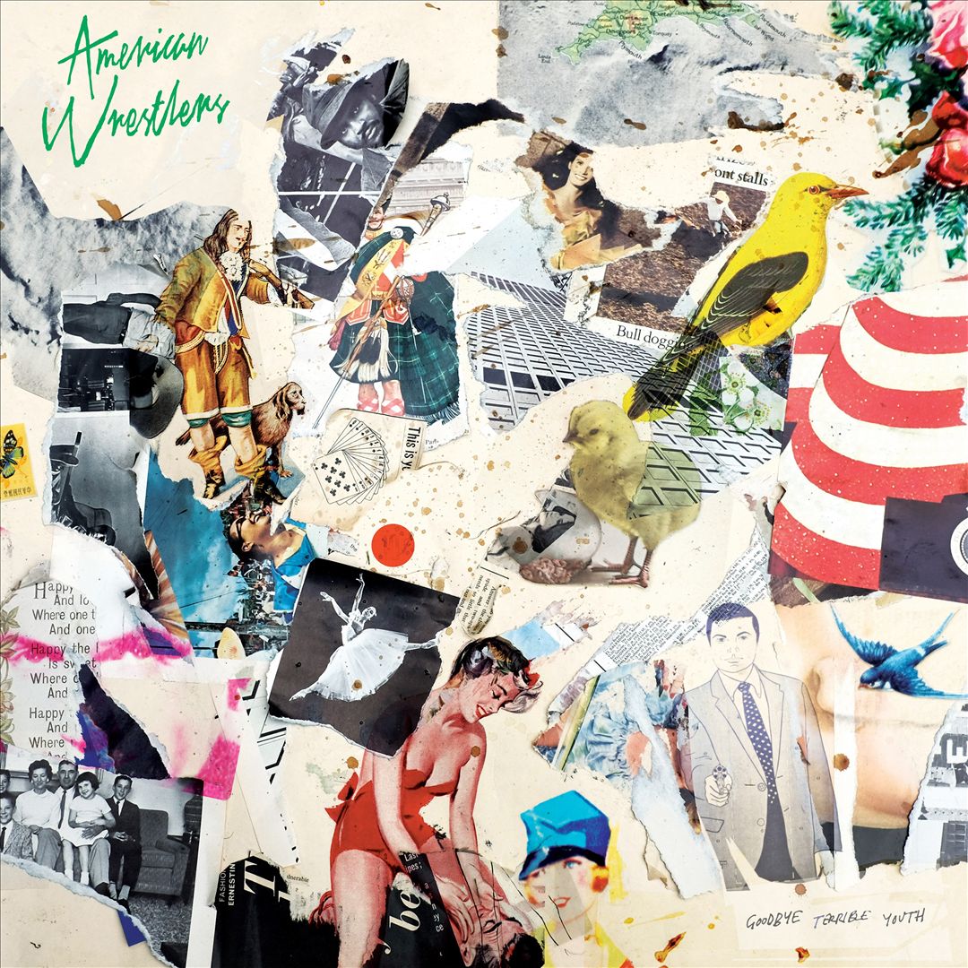 Goodbye Terrible Youth [LP] cover art