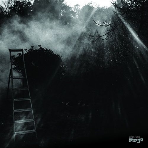 Animal Électrique cover art