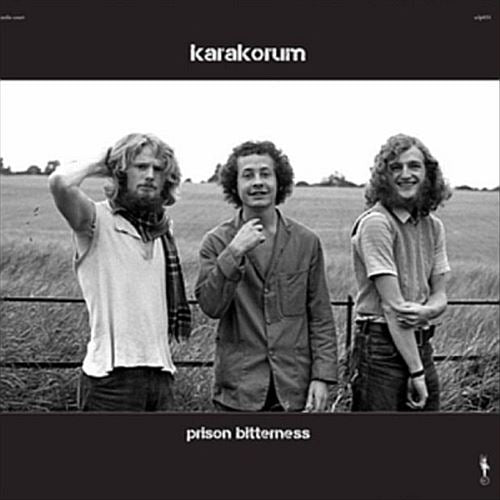 Prison Bitterness cover art