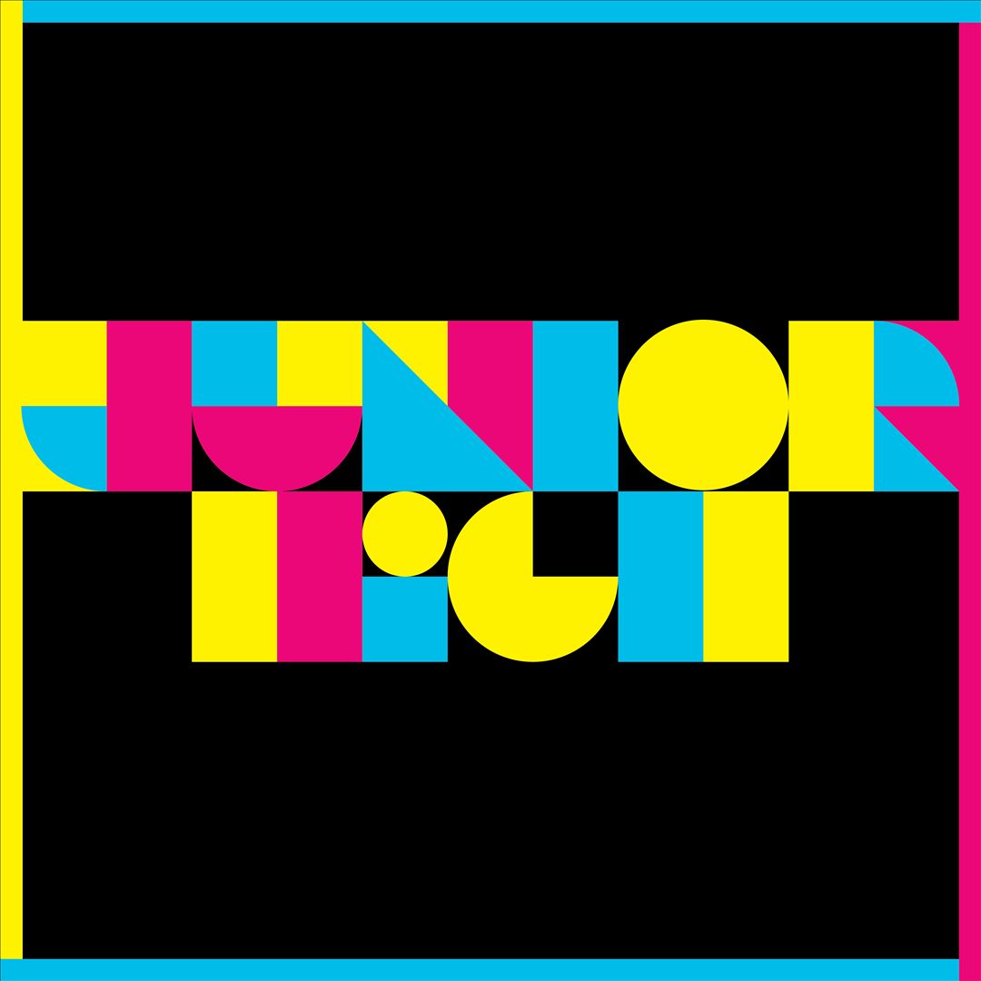 Junior High [LP/CD] cover art