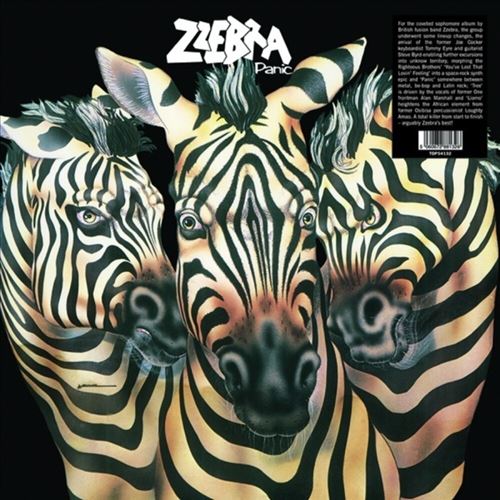 Panic cover art