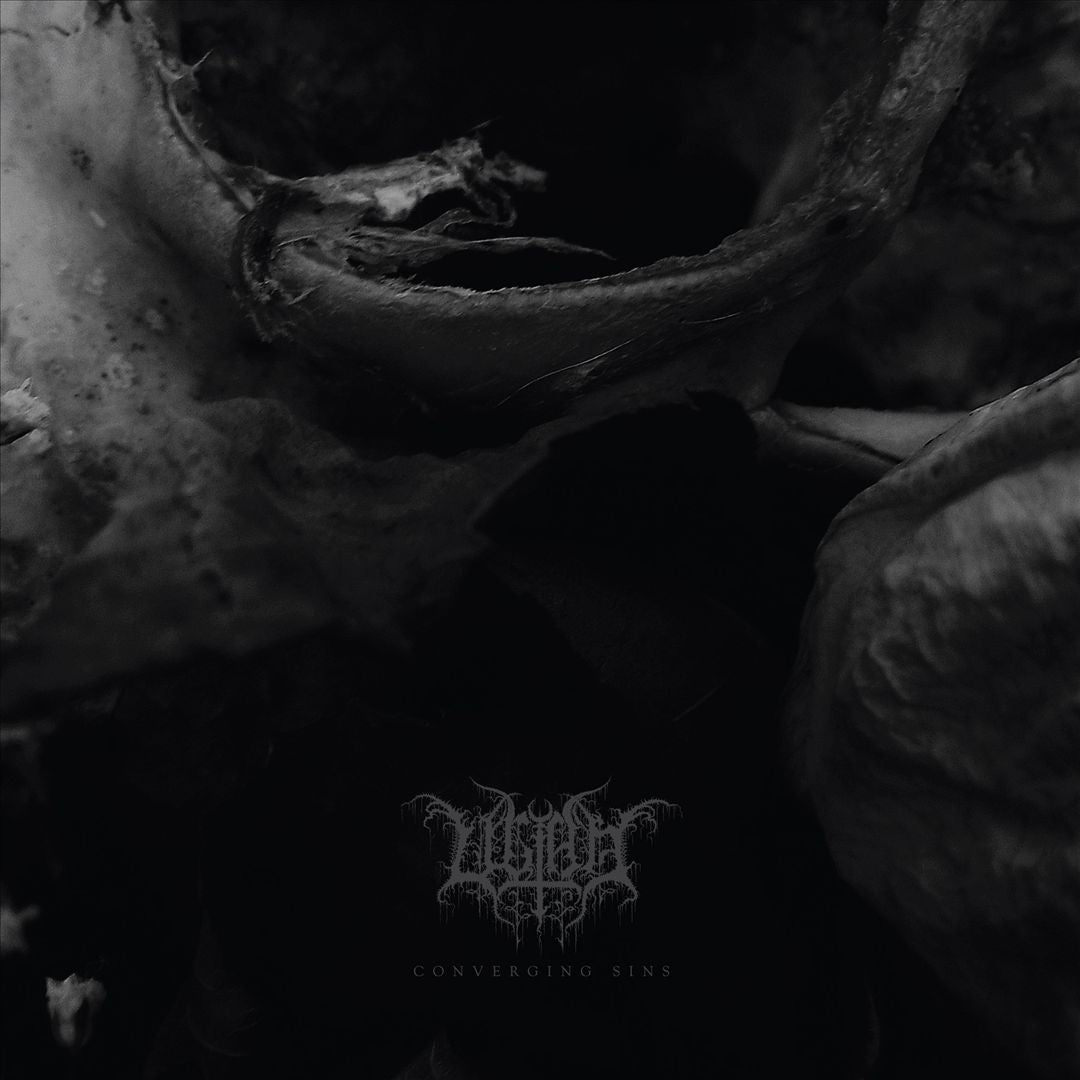 Converging Sins cover art