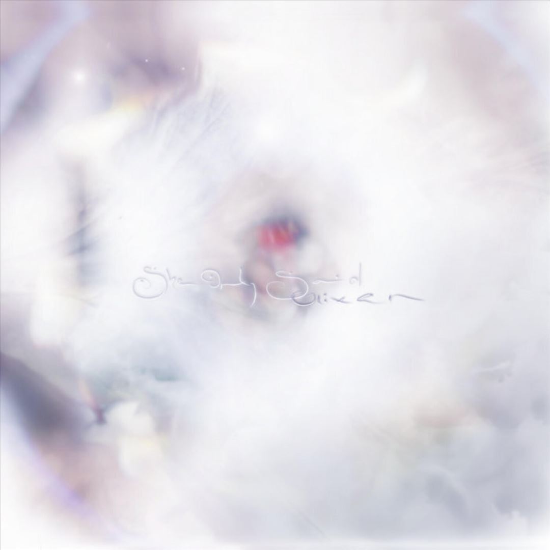 She Only Said cover art