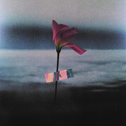 Paralanguage cover art