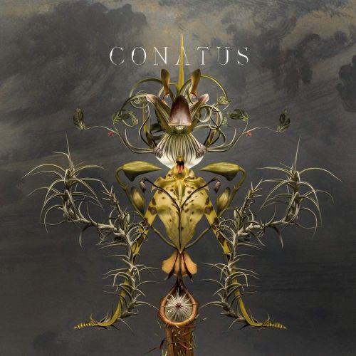 Conatus cover art