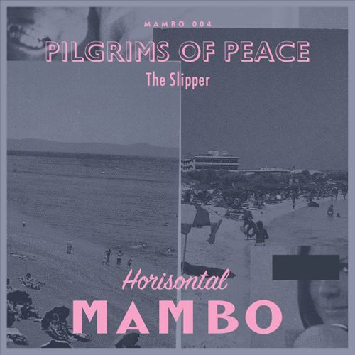 Slipper cover art
