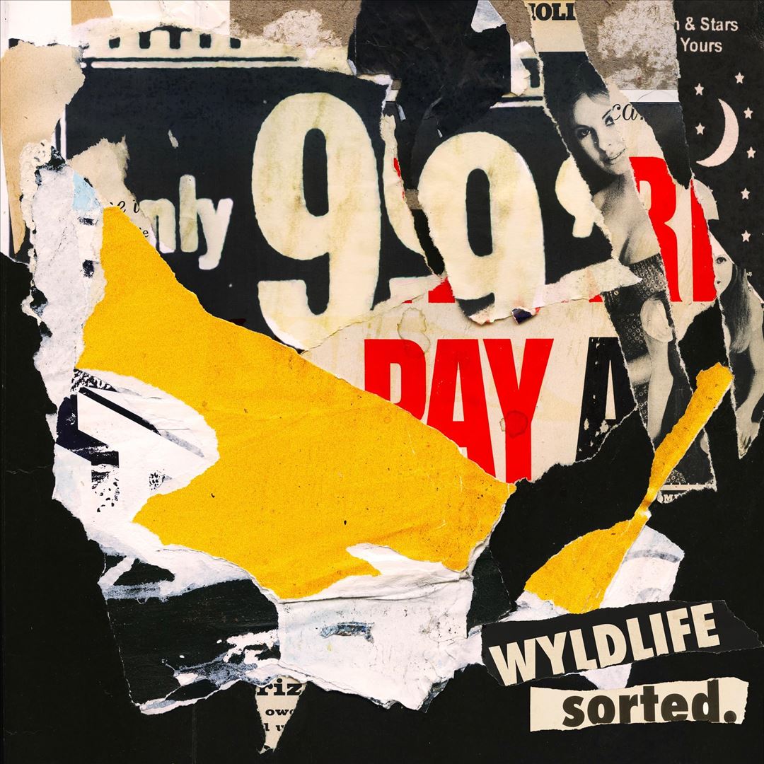 sorted. cover art