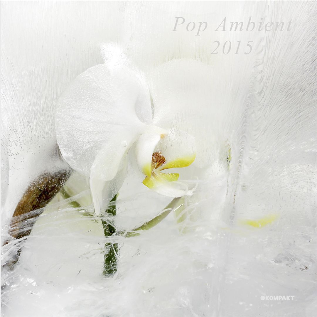 Pop Ambient 2015 [LP/CD] cover art