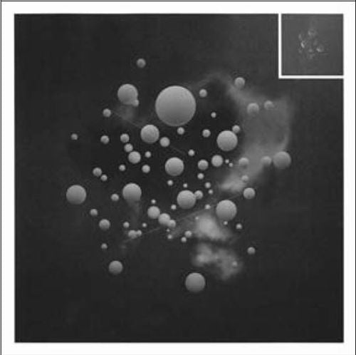 Fest der Reichen cover art